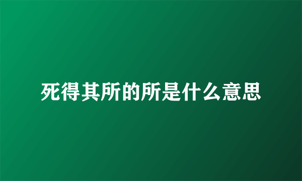 死得其所的所是什么意思