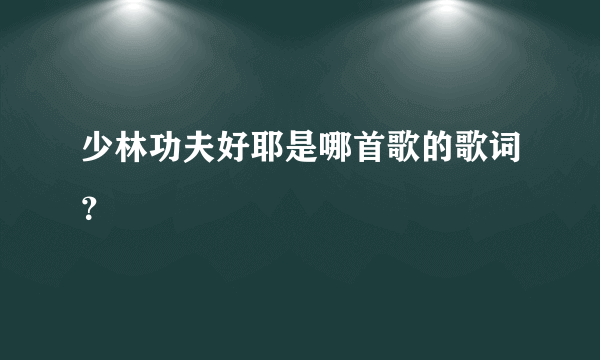 少林功夫好耶是哪首歌的歌词？