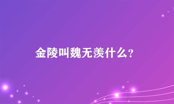 金陵叫魏无羡什么？