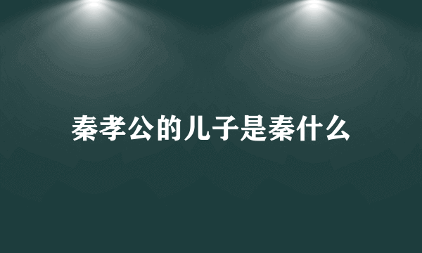 秦孝公的儿子是秦什么