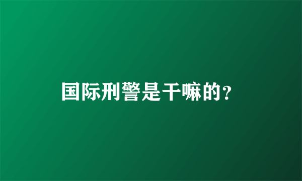 国际刑警是干嘛的？