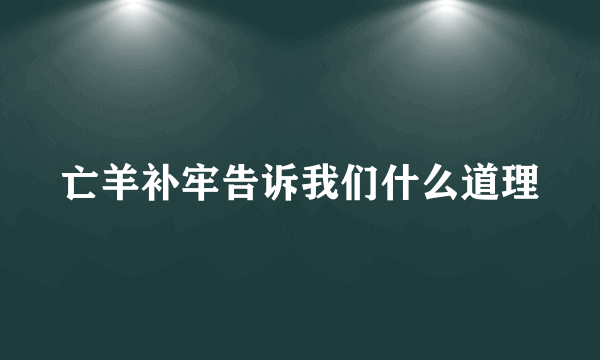 亡羊补牢告诉我们什么道理