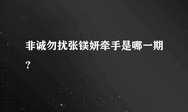 非诚勿扰张镁妍牵手是哪一期？