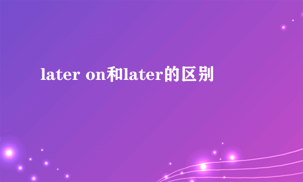 later on和later的区别