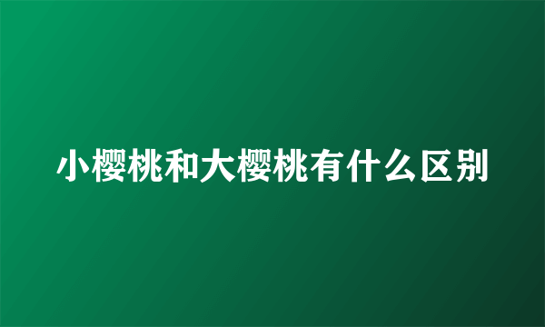 小樱桃和大樱桃有什么区别