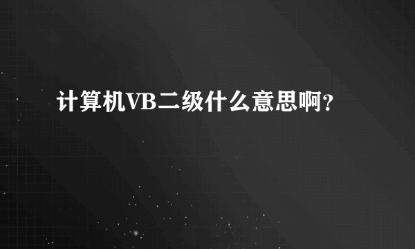 计算机VB二级什么意思啊？