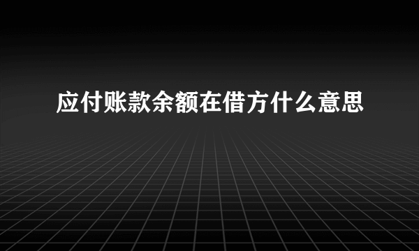 应付账款余额在借方什么意思