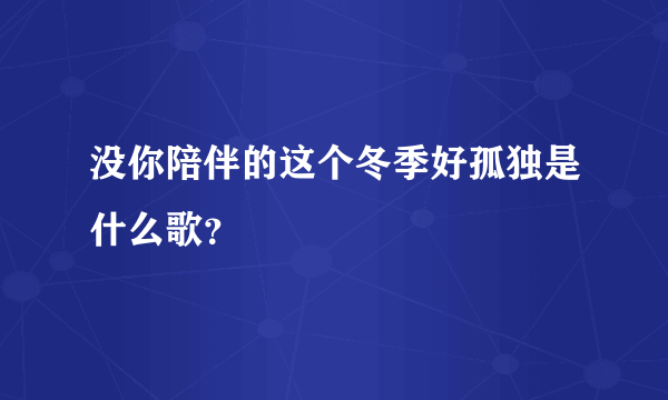 没你陪伴的这个冬季好孤独是什么歌？