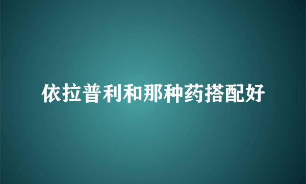 依拉普利和那种药搭配好