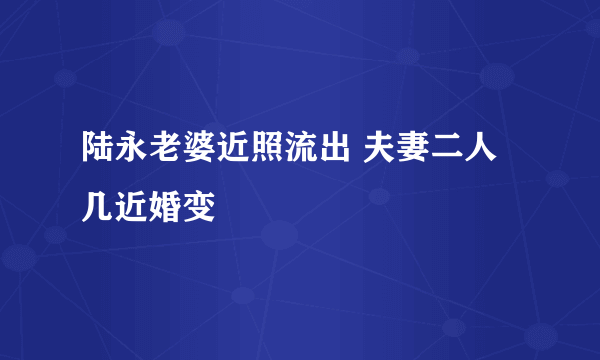 陆永老婆近照流出 夫妻二人几近婚变