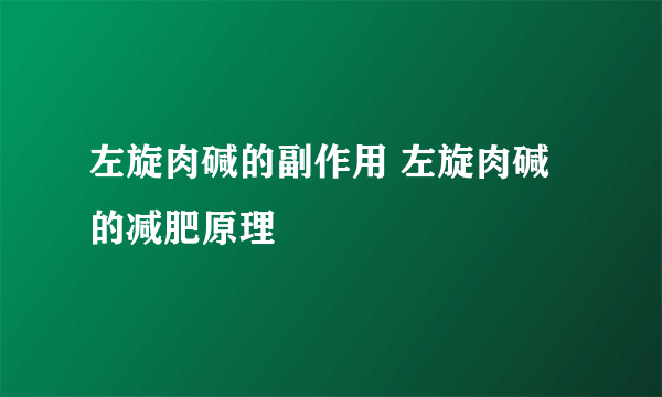 左旋肉碱的副作用 左旋肉碱的减肥原理