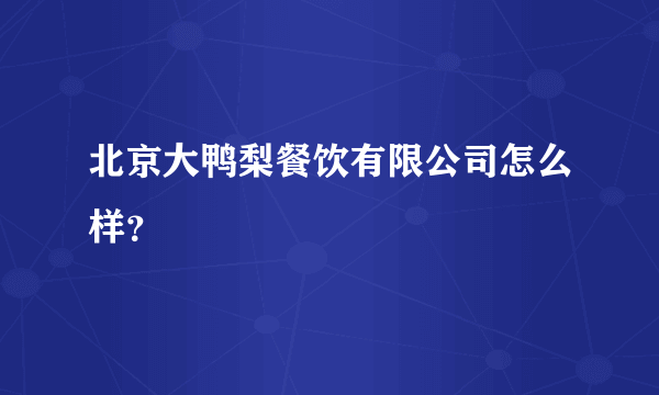 北京大鸭梨餐饮有限公司怎么样？