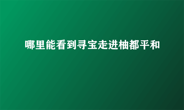 哪里能看到寻宝走进柚都平和