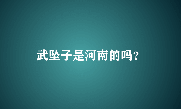 武坠子是河南的吗？