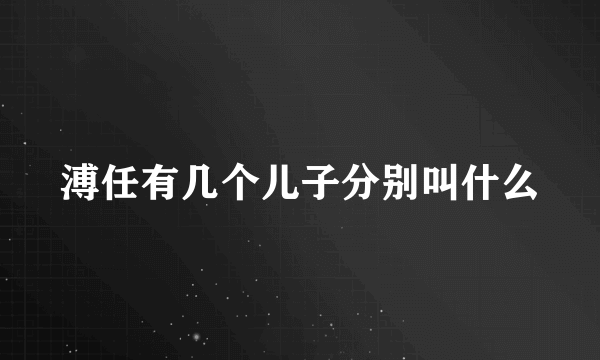 溥任有几个儿子分别叫什么