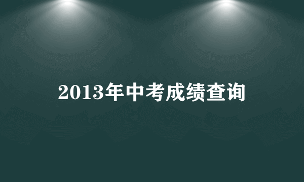 2013年中考成绩查询