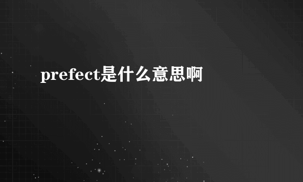 prefect是什么意思啊