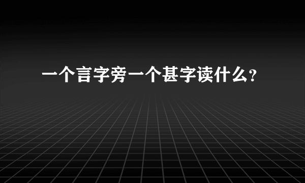 一个言字旁一个甚字读什么？