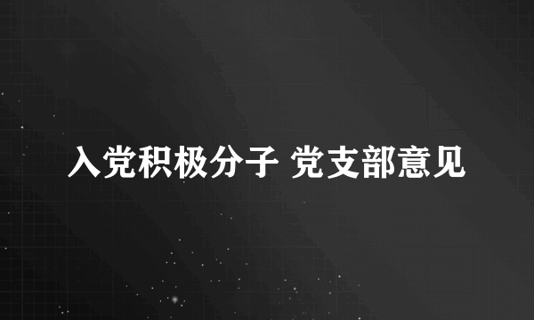 入党积极分子 党支部意见