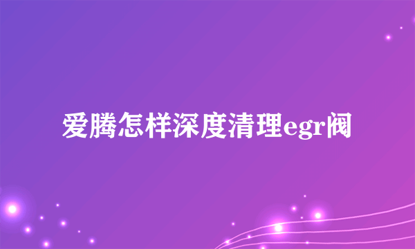 爱腾怎样深度清理egr阀