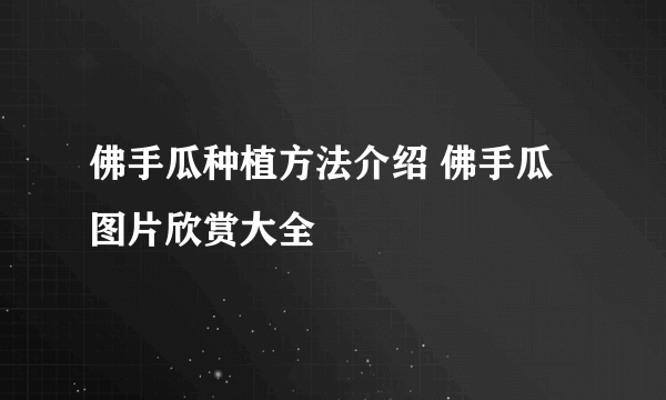 佛手瓜种植方法介绍 佛手瓜图片欣赏大全