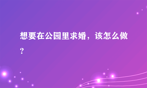 想要在公园里求婚，该怎么做？