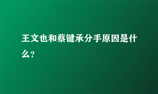 王文也和蔡键承分手原因是什么？