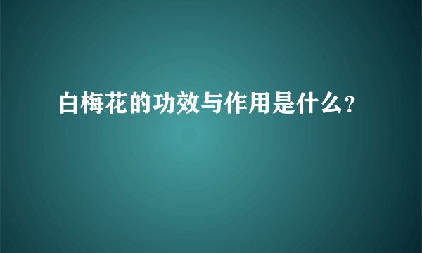 白梅花的功效与作用是什么？