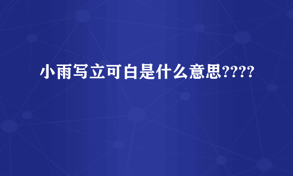 小雨写立可白是什么意思????