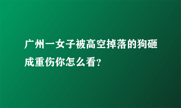 广州一女子被高空掉落的狗砸成重伤你怎么看？