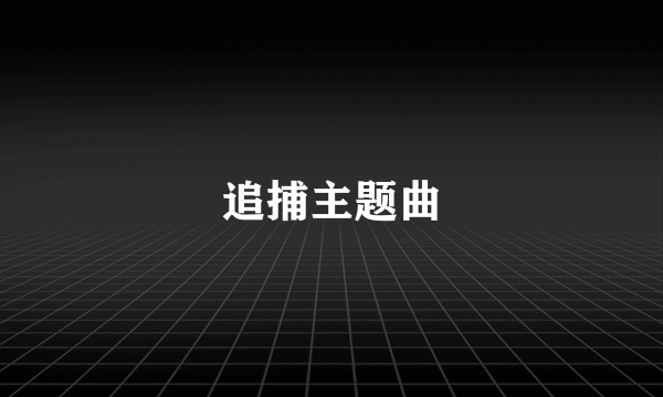 追捕主题曲