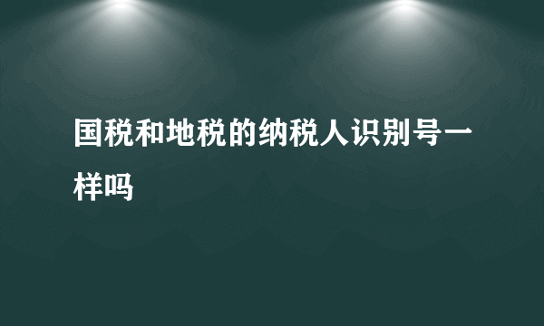 国税和地税的纳税人识别号一样吗