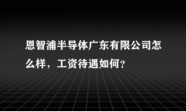 恩智浦半导体广东有限公司怎么样，工资待遇如何？