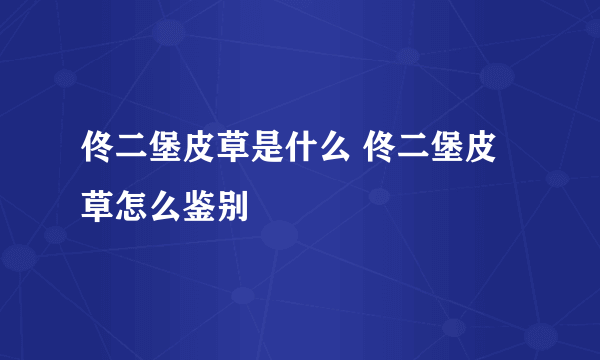 佟二堡皮草是什么 佟二堡皮草怎么鉴别