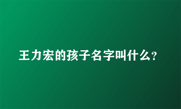 王力宏的孩子名字叫什么？