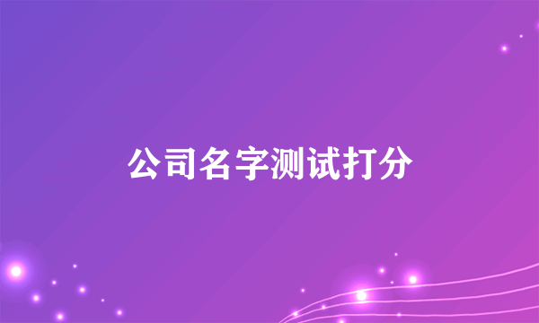 公司名字测试打分