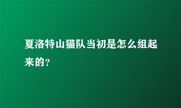 夏洛特山猫队当初是怎么组起来的？