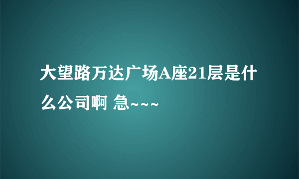 大望路万达广场A座21层是什么公司啊 急~~~