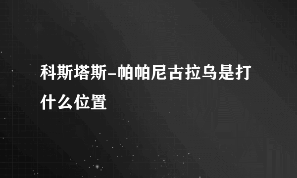 科斯塔斯-帕帕尼古拉乌是打什么位置