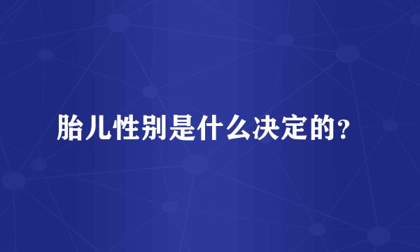 胎儿性别是什么决定的？