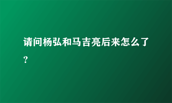 请问杨弘和马吉亮后来怎么了？