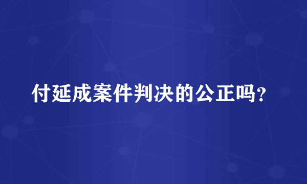 付延成案件判决的公正吗？