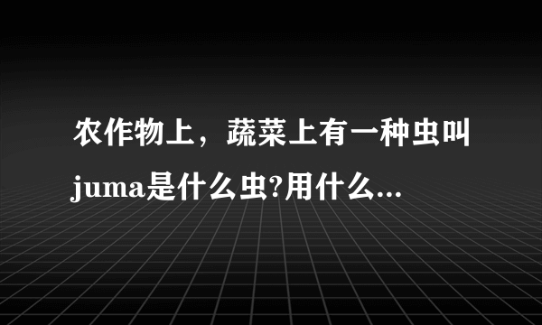 农作物上，蔬菜上有一种虫叫juma是什么虫?用什么农药杀这种虫？