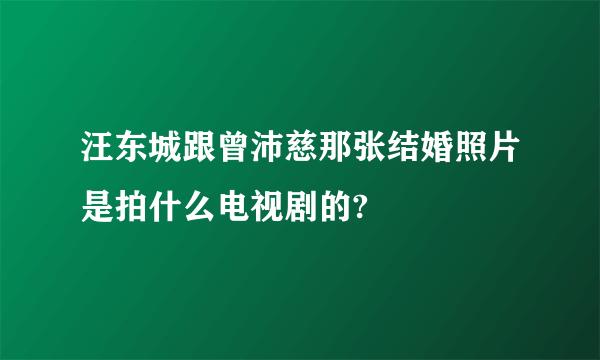 汪东城跟曾沛慈那张结婚照片是拍什么电视剧的?