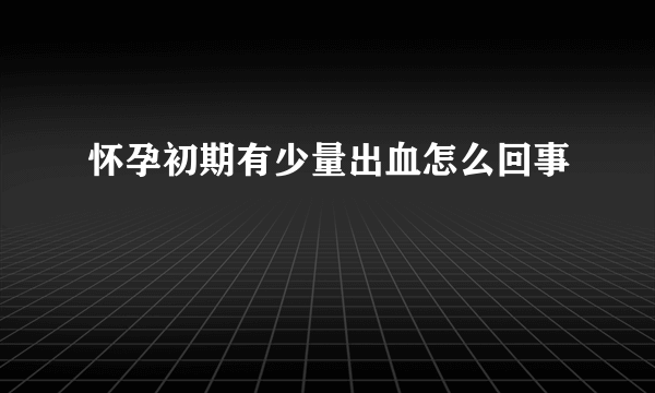 怀孕初期有少量出血怎么回事