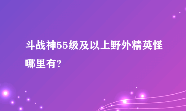 斗战神55级及以上野外精英怪哪里有?