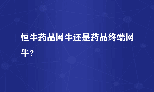 恒牛药品网牛还是药品终端网牛？