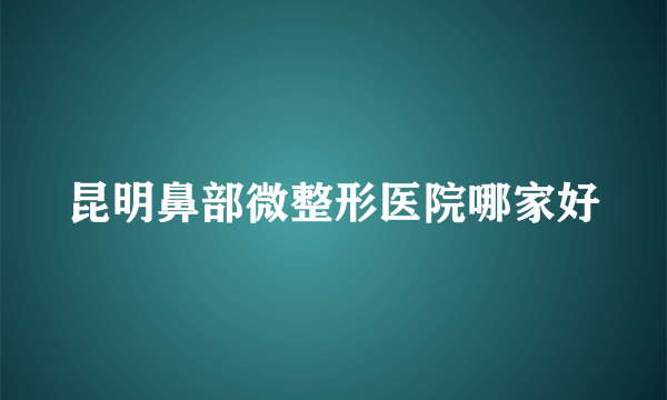 昆明鼻部微整形医院哪家好