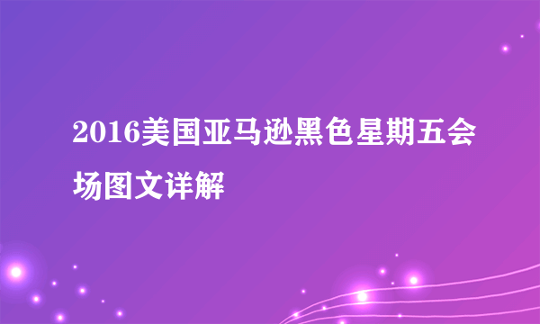 2016美国亚马逊黑色星期五会场图文详解