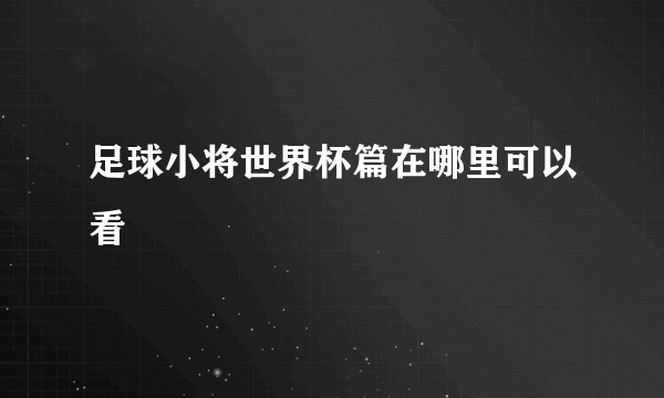 足球小将世界杯篇在哪里可以看